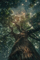 Wall Mural - tree with stars