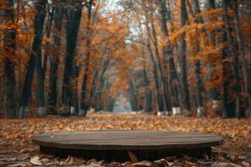 Wall Mural - Wooden bench in forest