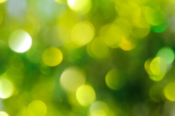 Wall Mural - green bokeh abstract background