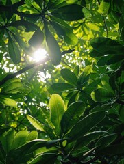 Sticker - Sunlight filtering through tree leaves