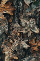 Wall Mural - Close-up of autumn leaves on the ground