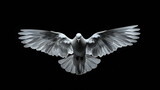 A dove captured in mid-flight against a black background, symbolizing peace, hope, and purity. Ideal for campaigns focused on peace initiatives, freedom, spirituality, and inspirational messages