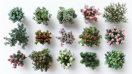 Wall Mural - Top view of various blooming potted plants, Generative AI