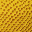 © vian - yellow sponge texture with natural holes rough texture