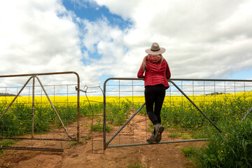 Female farmer looks out over the growing crop of canola