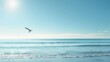 © Tida - Seagull flying over calm sea - A serene seascape with a seagull flying over the calm ocean under a clear sky