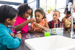 © Wavebreak Media - A diverse group of young students focuses on petri dishes in school