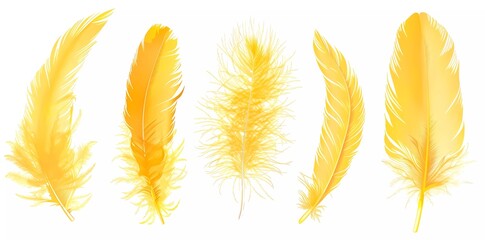 Vector yellow feather collection, collection of different fluffy feathers