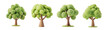 © F - A 3D cartoon tree model ideal for nature-themed designs isolated on transparent background cutout png