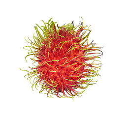 Wall Mural - rambutan fruit isolated on transparent.