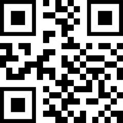 qr code frame black color