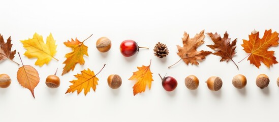 Wall Mural - Frame of various autumn leaves, chestnuts, acorns, and berries on a white background with copy space image.