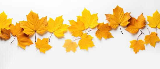 Wall Mural - autumn-themed arrangement of dried leaves on a white background, ideal for fall concepts, captured i