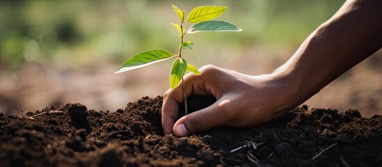 Sticker - A youthful gardener tending to a garden, planting and watering plants with copy space image.