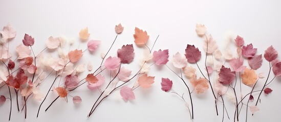 Wall Mural - Autumn-themed arrangement featuring dried leaves, flowers, and rowan berries on a pink background. Depicting autumn, fall, and Thanksgiving themes with flat lay style, top view, and copy space image.