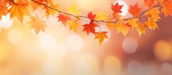 Canvas Print - An autumn-themed scene with maple leaves adorning a picturesque woodland backdrop in a wide panoramic format, creating a serene copy space image.