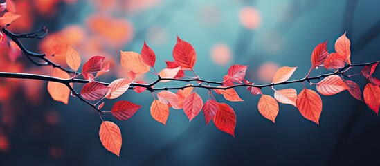 Poster - macro nature photography displaying autumn leaves with vibrant orange hues against both light and da