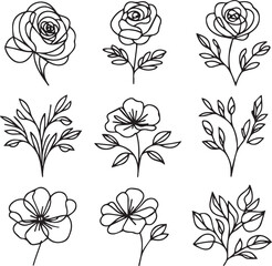 One-line drawing of a decorative, fresh blossoming rose silhouette with leaves, isolated on a white background. Hand-drawn sketch, vector stock illustration