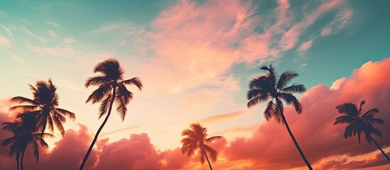 Canvas Print - A silhouette of a tropical palm tree against a sunset sky with abstract clouds, ideal for travel concepts, featuring pastel color tones and a relaxing ambiance. Copy space image