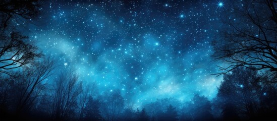 Wall Mural - twilight arboretum with trees and starlit sky in the background, perfect for a copy space image.