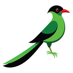 Wall Mural - Solid color Common Green Magpie animal vector design