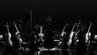© john - composition of symphony orchestra instruments, only silhouettes are visible, black background