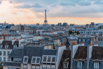 Wall Mural - the eiffel tower in paris city