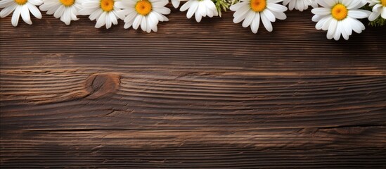 Sticker - daisy flowers on bright wood table. Creative banner. Copyspace image