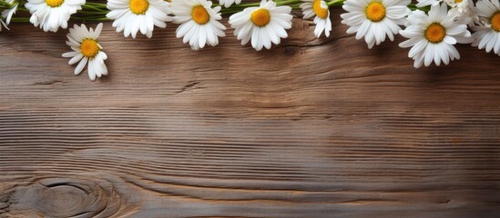 Poster - daisy flowers on bright wood table. Creative banner. Copyspace image