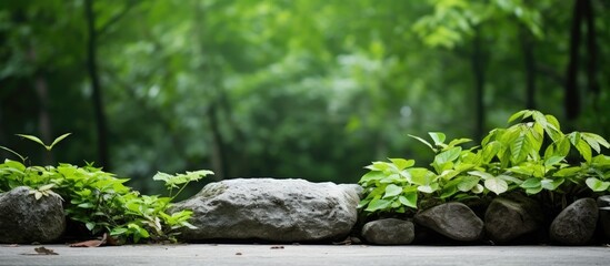 Aufkleber - Stone and plant. Creative banner. Copyspace image