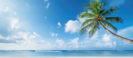 Wall Mural - coconut tree with tropical beach with cloudy times. Creative banner. Copyspace image