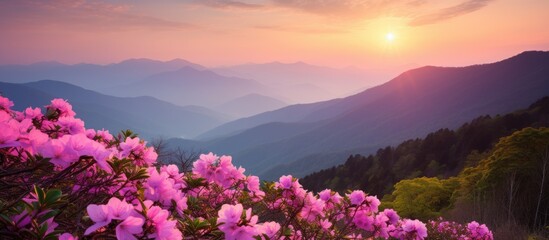 Wall Mural - View of some mountains through some pink flowers. Creative banner. Copyspace image