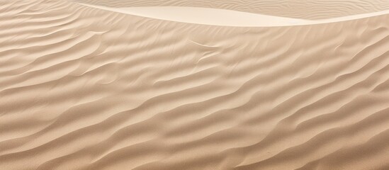 Aufkleber - beach and sand texture pattern of sand. Creative banner. Copyspace image