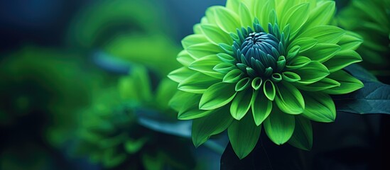 Poster - Flower of powerfull colour green. Creative banner. Copyspace image
