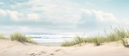 Wall Mural - Sand dunes at the beach with green plants. Creative banner. Copyspace image