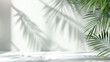 © pikshine - Light background with palm leaf shadow on a white wall. Vector background for product presentation, mockup display, and beauty concept template design.