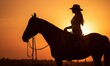 © Johnovich - Girl cowboy on horseback at sunset