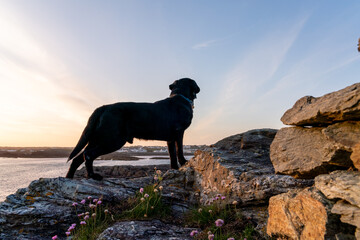 Sunset walking around Trearddur bay Anglesey