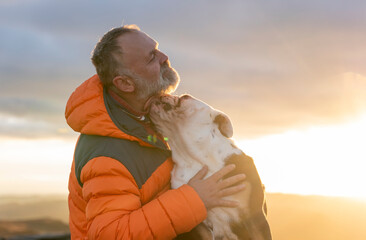 Wall Mural - happy mature bearded man with english bulldog sitting on top of mountain at sunset	