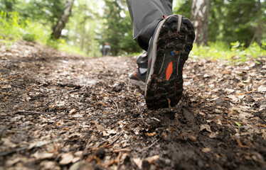 Canvas Print - Foot steps in the forest in summer 