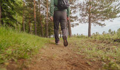 Wall Mural - hiking in the forest