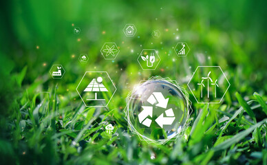 Wall Mural - crystal globe putting on moss, esg icon for environment social, world sustainable environment concep