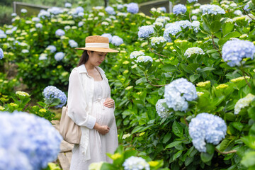 Wall Mural - Pregnant woman in the Hydrangea farm