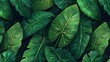 © Jiraporn - Tropical dense jungle green leaves, detailed texture. Perfect for backgrounds, nature-themed designs, wallpapers, and environmental concepts.