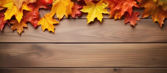 Wall Mural - Autumn-themed scene featuring maple leaves on a wooden tabletop, set against a backdrop of fall colors for a striking copy space image.
