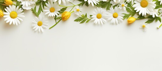 Wall Mural - yellow flowers and eucalyptus leaves arranged on a white surface, captured from above with a lot of 