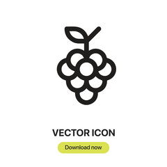 Leinwandbilder - Grapes icon vector. Linear-style sign for mobile concept and web design. Grapes symbol illustration. Pixel vector graphics - Vector.