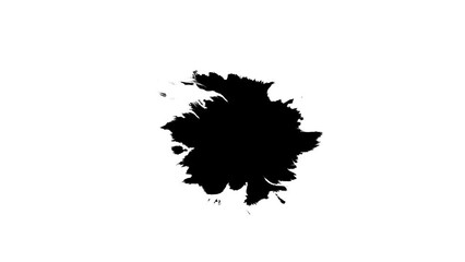 Poster - animated video of splashes of black ink liquid