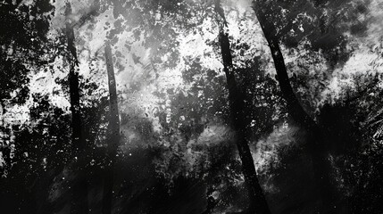 Black and white texture of a forest