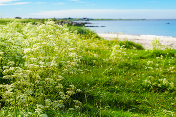 Poster - Seascape in Gimsoysand, Lofoten islands, Norway